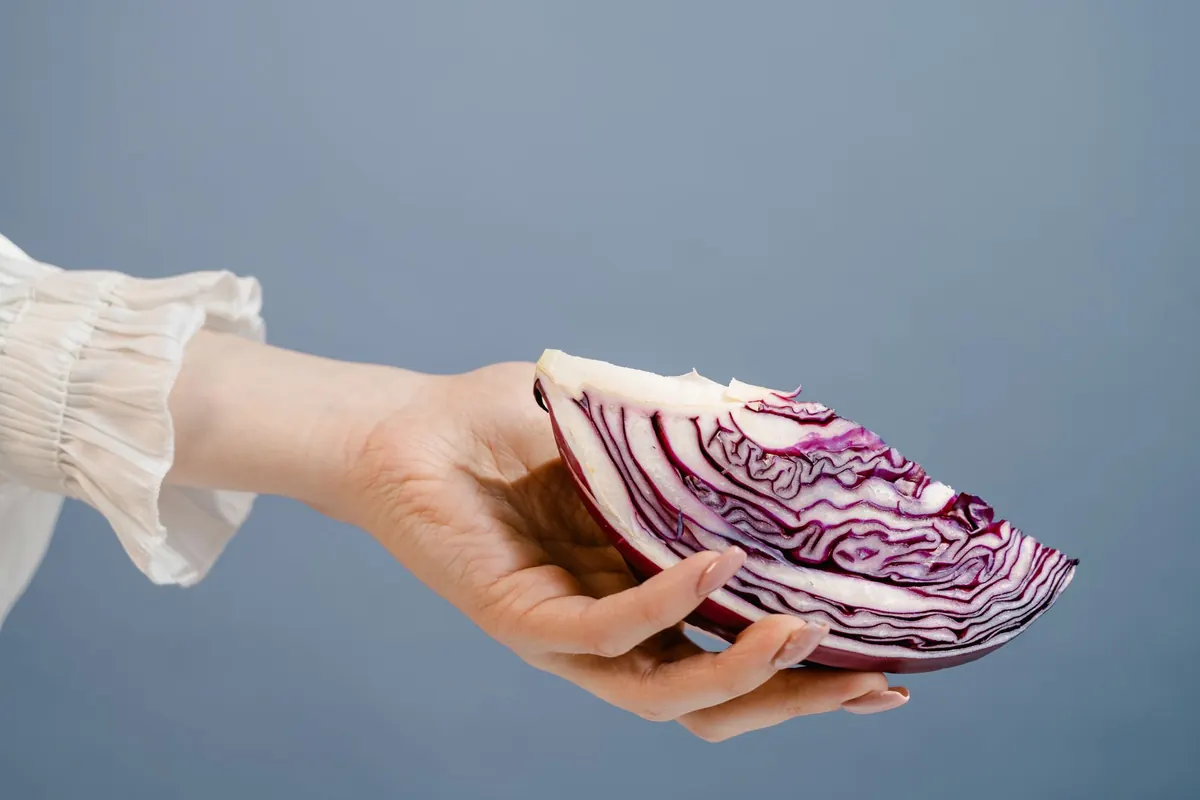 Make Your Own Red Cabbage pH Indicator: A Step-by-Step Acid and Alkali Experiment