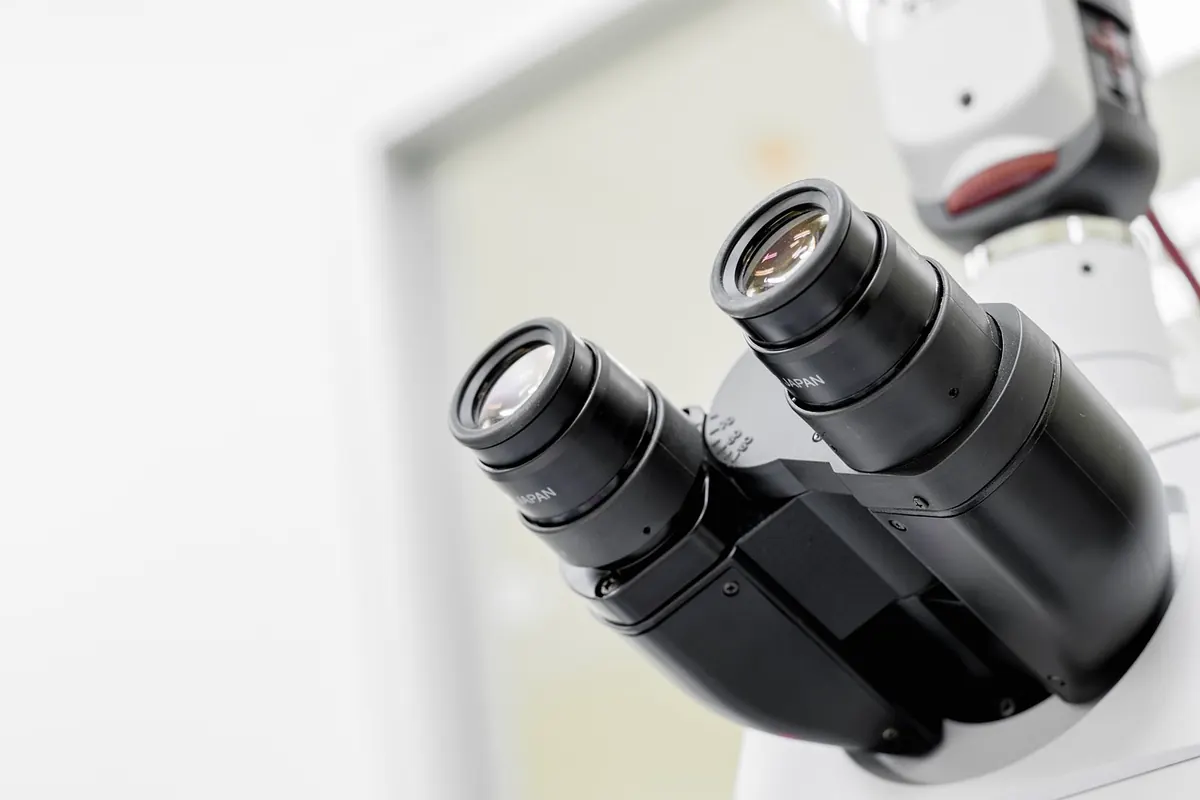 Microscope Buying Guide for Home Educators: Comparing USB, Stereo and Compound Models