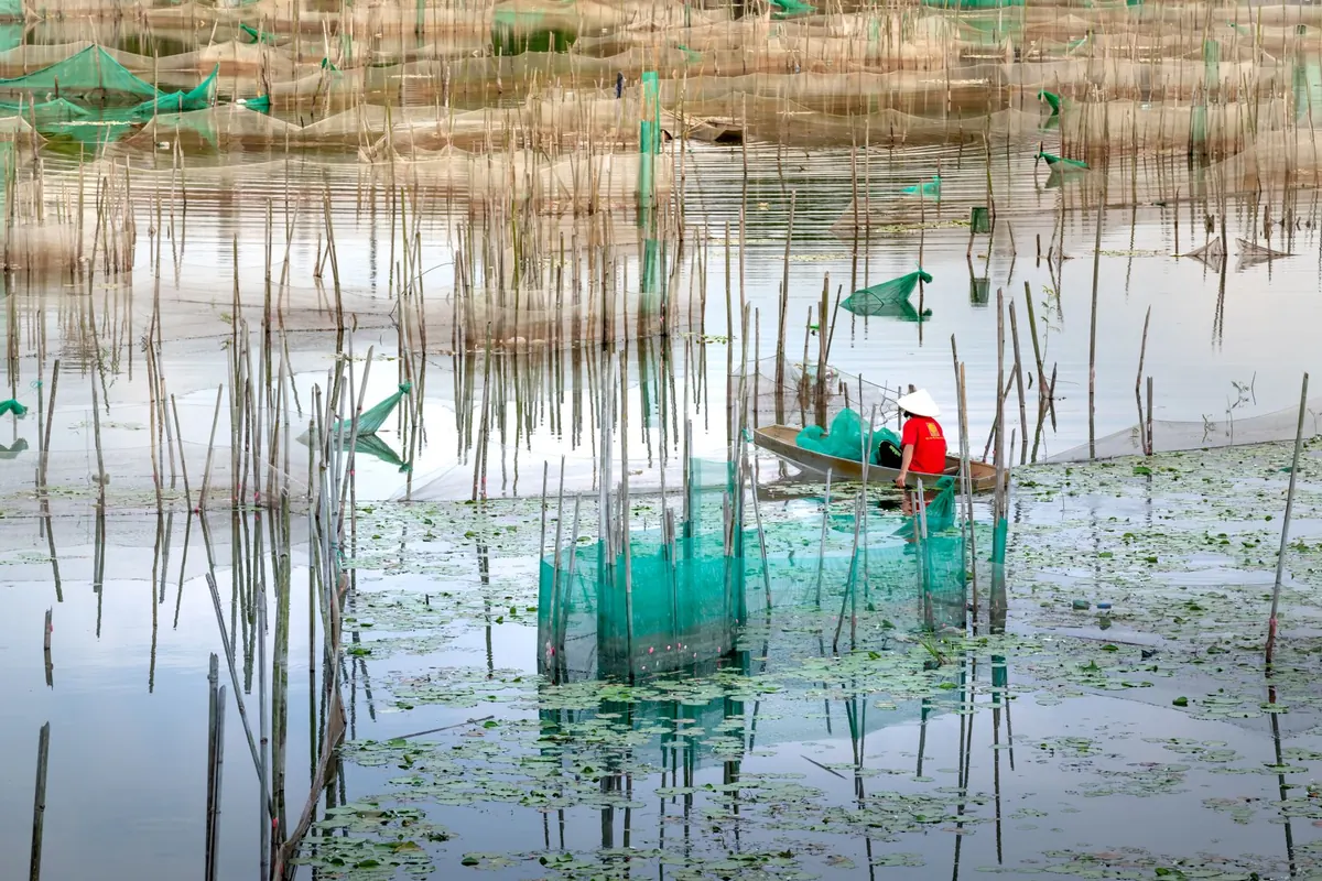 Pond Dipping Equipment Checklist: What to Pack for a Safe UK Freshwater Nature Walk
